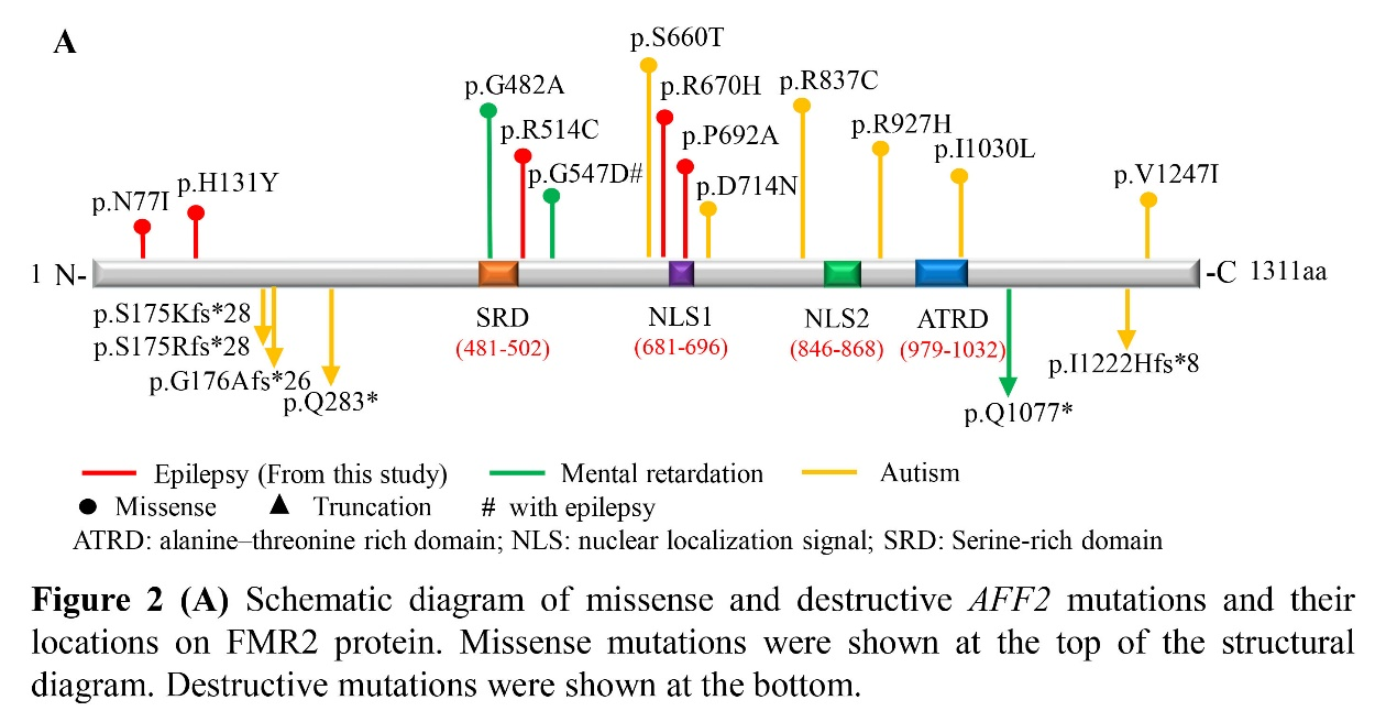 1648775061493834.png 1648775061493834.png